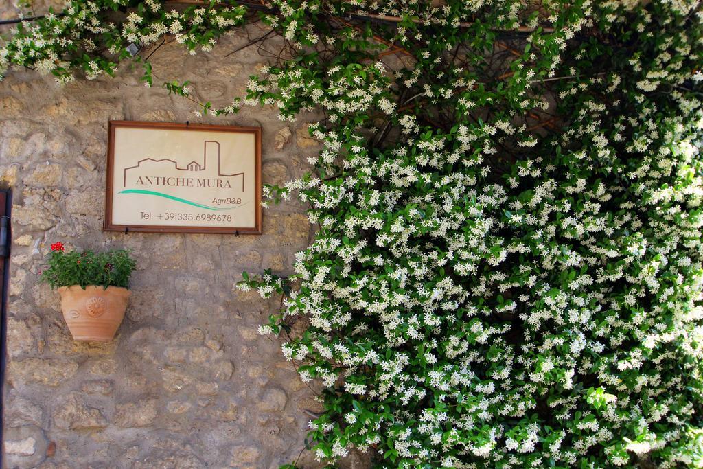 B&B Antiche Mura Tarquinia Exterior photo