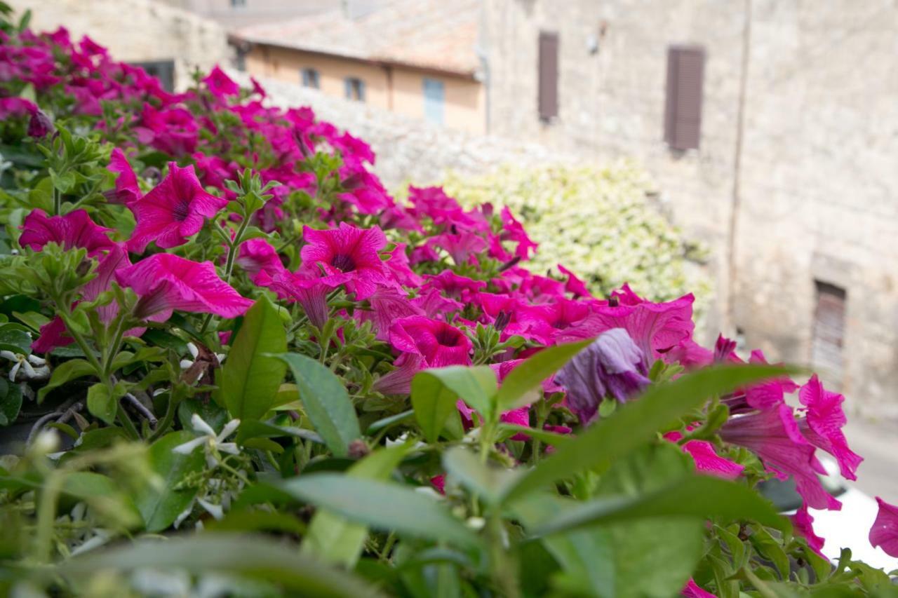 B&B Antiche Mura Tarquinia Exterior photo